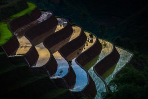 Bản tin Nhóm Công tác Tài chính Vi mô Việt Nam – Tháng 05/2011