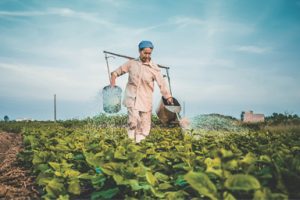 Bản tin Tài chính vi mô Việt Nam Quý I/2013