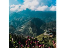 Bản tin Tháng 3 Mạng lưới Quỹ hiệu quả xã hội (SP Fund for Networks)