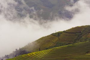 Bản tin Tài chính vi mô Việt Nam Quý III/2013