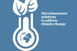 Microinsurance key performance indicators simulation workshop