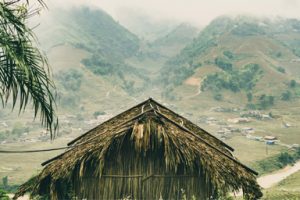 Bản tin TCVM số 20 – Môi trường chính sách và nguồn vốn