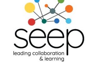 2013 SEEP Annual Conference